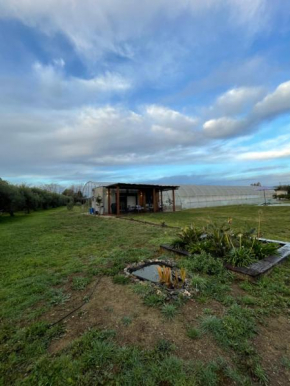 Terra Sana Casita